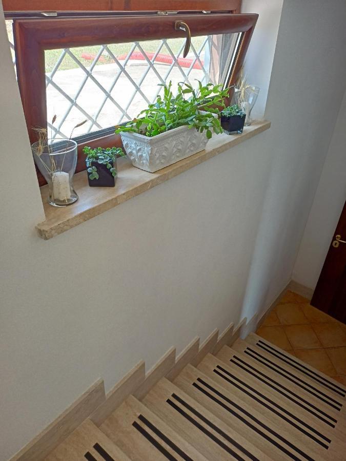 Il Faggio 17 B&B Артена Экстерьер фото