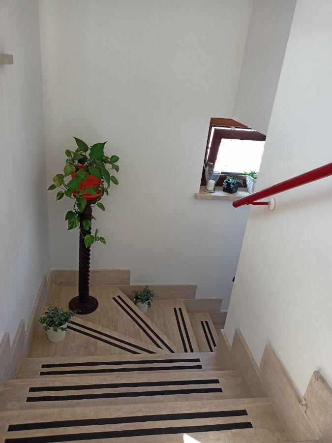 Il Faggio 17 B&B Артена Экстерьер фото