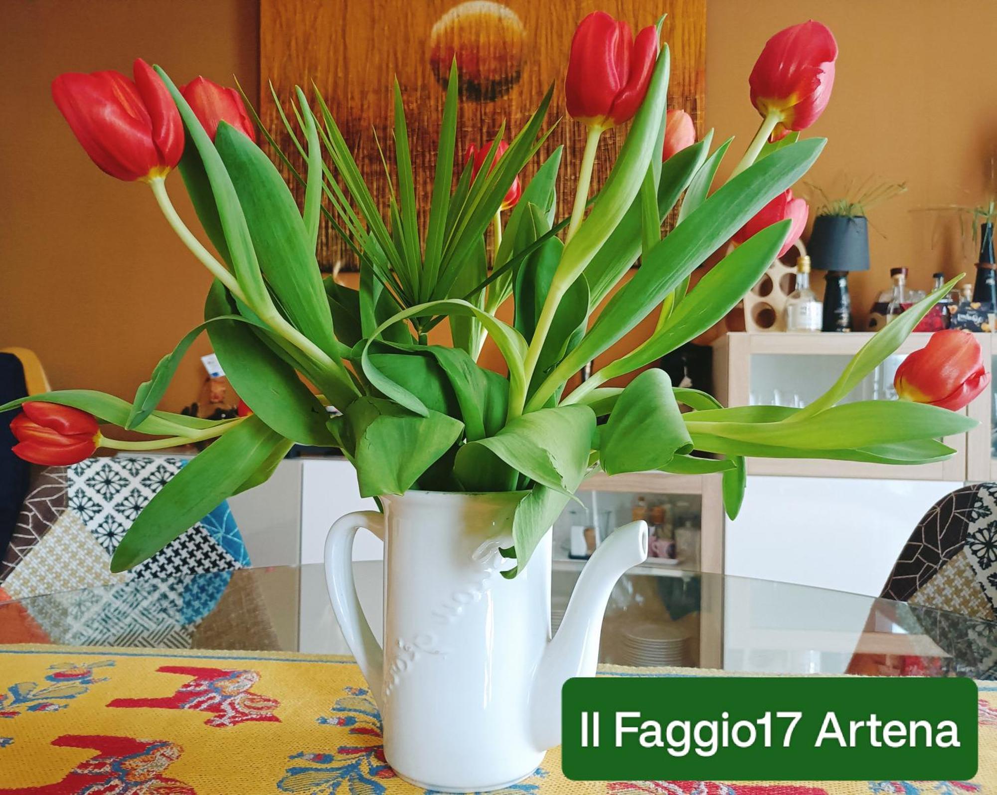 Il Faggio 17 B&B Артена Экстерьер фото