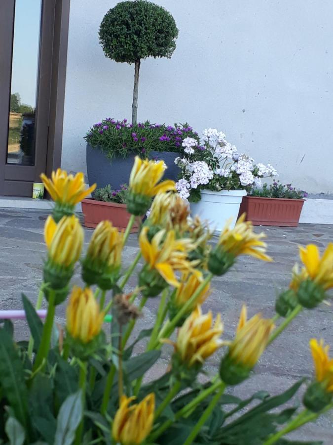 Il Faggio 17 B&B Артена Экстерьер фото
